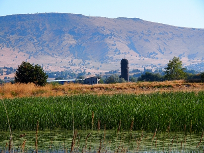 [Water and cattails in foreground, lots of green reeds and some farm land including a silo in the mid ground and tall, mostly treeless, wheat-colored mountains in background.]